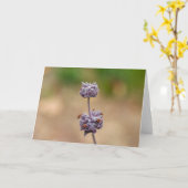 Cleveland Sage Kaart (Gele Bloem)