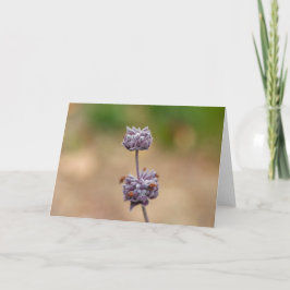 Cleveland Sage Kaart