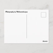 "Cleveland Warehouse District Street Scene"-kaart Briefkaart (Achterkant)