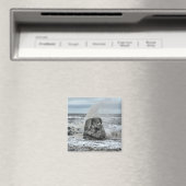 Cleveleys Ogre Magnet (Insitu (Vaatwasser))