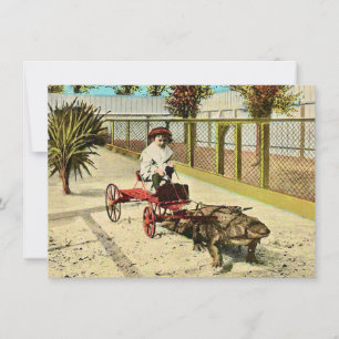 Clever Florida Alligator Verhuisaankondiging