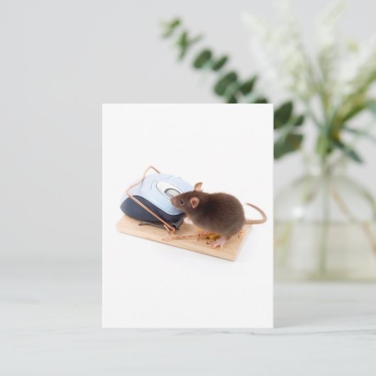 Clever Mouse Briefkaart (Staand voorkant)