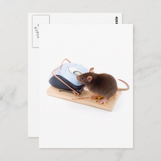 Clever Mouse Briefkaart (Voorkant / Achterkant)