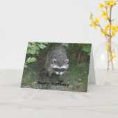 Clever Raccoon Birthday Greeting Kaart (Gele Bloem)