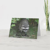 Clever Raccoon Birthday Greeting Kaart (Voorkant)