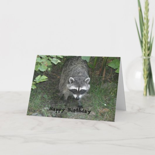 Clever Raccoon Birthday Greeting Kaart (Voorkant)