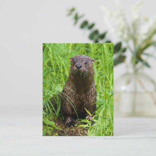 Clever River Otter Briefkaart (Staand voorkant)