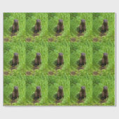 Clever River Otter Cadeaupapier (Vlak)