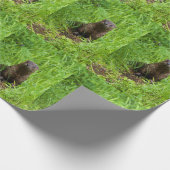 Clever River Otter Cadeaupapier (Hoek)
