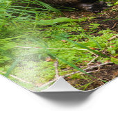 Clever River Otter Foto Afdruk (Hoek)