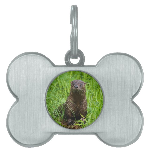 Clever River Otter Huisdieren Naamplaatje (voorkant)