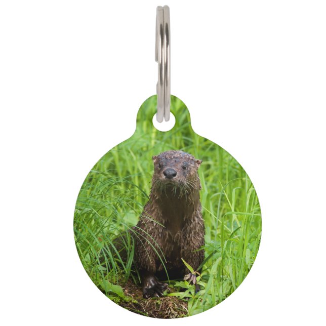 Clever River Otter Huisdierpenning (Voorkant)