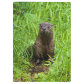 Clever River Otter Klembord (Achterkant)