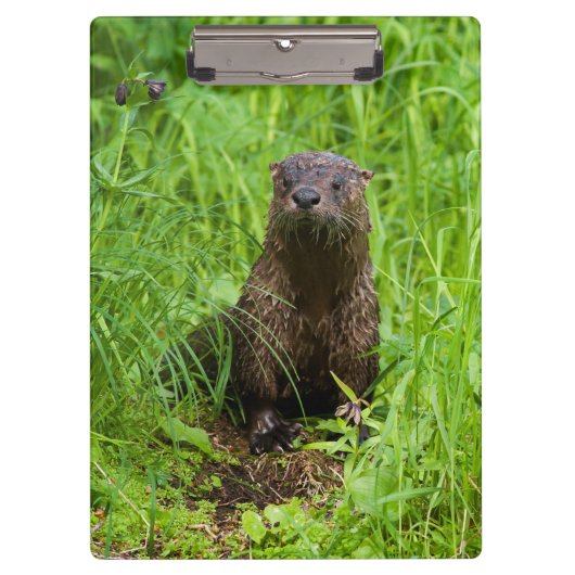 Clever River Otter Klembord (Voorkant)