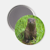 Clever River Otter Magneet (Voorkant / Achterkant)