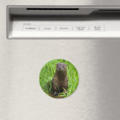 Clever River Otter Magneet (Insitu (Vaatwasser))