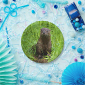 Clever River Otter Papieren Bordje (Feest)