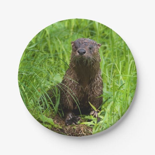 Clever River Otter Papieren Bordje (Voorkant)