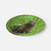 Clever River Otter Papieren Bordje (Gekanteld)