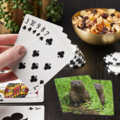Clever River Otter Pokerkaarten (Insitu)