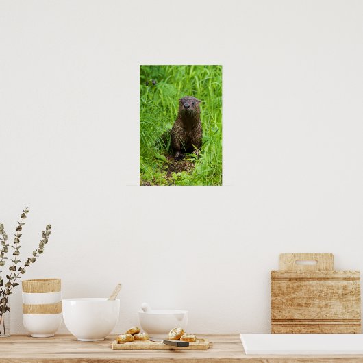 Clever River Otter Poster (Keuken)