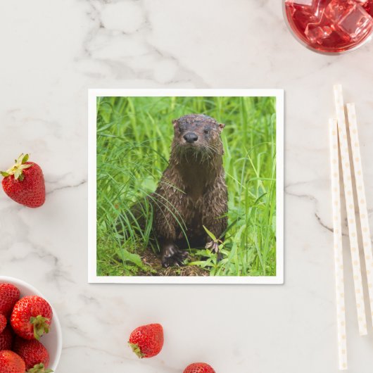 Clever River Otter Servet (Insitu)