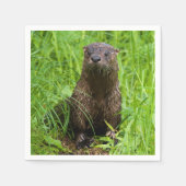 Clever River Otter Servet (Voorkant)