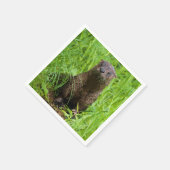 Clever River Otter Servet (Hoek)