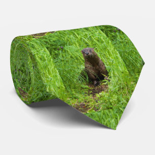 Clever River Otter Stropdas