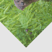 Clever River Otter Tissuepapier (Detail)