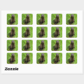 Clever River Otter Vierkante Sticker (Vel)