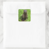 Clever River Otter Vierkante Sticker (Tas)