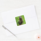 Clever River Otter Vierkante Sticker (Envelop)