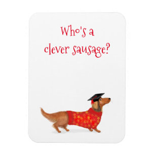 'Clever sausage' teckel afstuderen cadeaumagneet Magneet