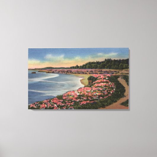 Cliff Drive Uitzicht Ocean, Beach & Flowers Canvas Afdruk (Voorkant)
