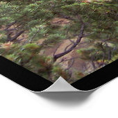 Cliff Palace Poster (Hoek)