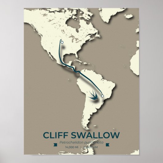 Cliff Swallow Migration Map – Minimalistische Vint Poster (Voorkant)