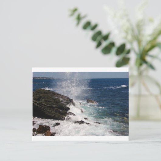 Cliff Walk bij Newport, RI Briefkaart (Staand voorkant)