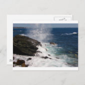 Cliff Walk bij Newport, RI Briefkaart (Voorkant / Achterkant)