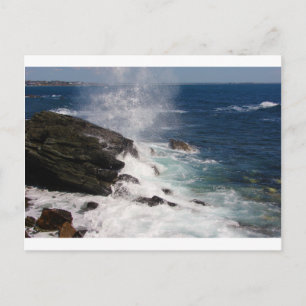 Cliff Walk bij Newport, RI Briefkaart