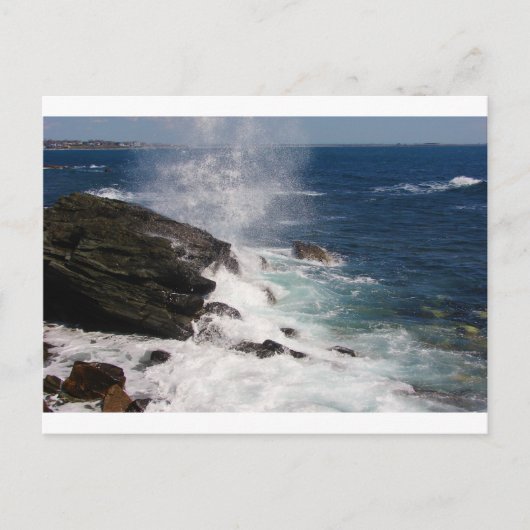 Cliff Walk bij Newport, RI Briefkaart (Voorkant)