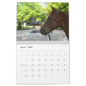 Clifford of Drummond Island Kalender (Mar 2027)