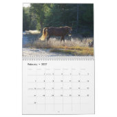 Clifford of Drummond Island Kalender (Feb 2027)