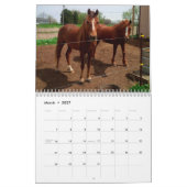 "Clifford of Drummond Island" kalender 2018 (Mar 2027)