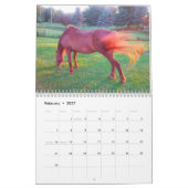"Clifford of Drummond Island" kalender 2018 (Feb 2027)