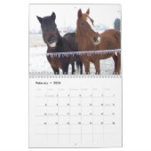 Clifford the Morgan Horse Kalender (Feb 2026)