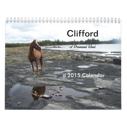Clifford the Morgan Horse Kalender (Hoes)