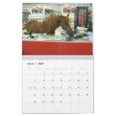 Clifford the Morgan Horse Kalender (Mar 2027)