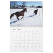 Clifford the Morgan Horse Kalender (Jan 2027)