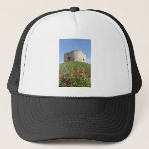 Cliffords Tower Trucker Pet